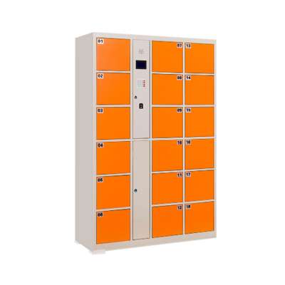 Steel Smart Fingerprint operate Lockers Luggage Storage Electronic Supermarket Metal Cabinet